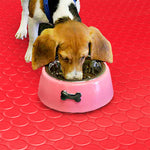 TAPPETO | ZERBINO PVC BOLLE ROSSO