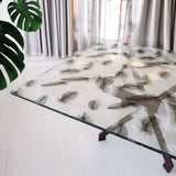 ROTOLO TOVAGLIA TRASPARENTE CRISTAL STAMPATO Piume