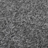 PASSATOIA MOQUETTE AGUGLIATA