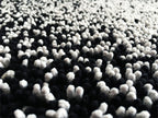 TAPPETO COTONE BAGNO CAMERA MULTICOLOR - Arrediamo Insieme Nel Web
